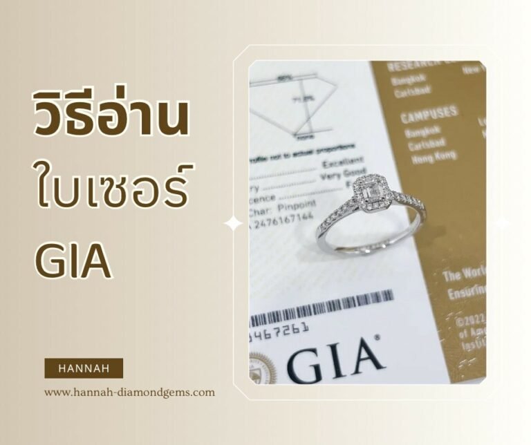 7C679FB2-BA01-4B3F-8458-91FD15B46481